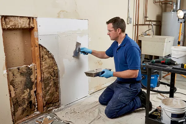 Mold and Drywall Repair Yucaipa