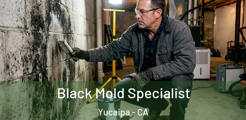 Black Mold Specialist Yucaipa - CA