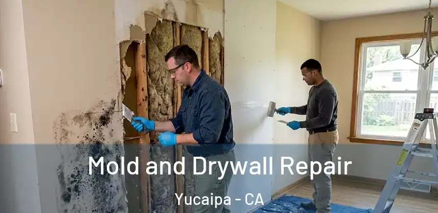 Mold and Drywall Repair Yucaipa - CA