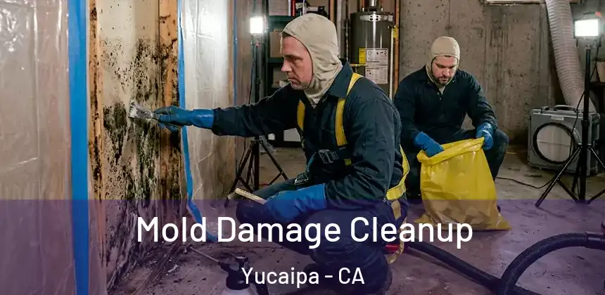 Mold Damage Cleanup Yucaipa - CA
