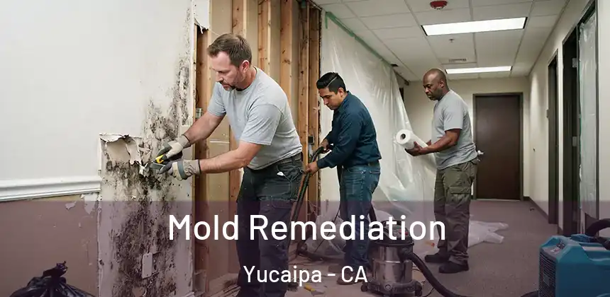 Mold Remediation Yucaipa - CA