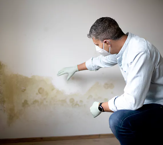 Mold Removal Service in Yucaipa, CA