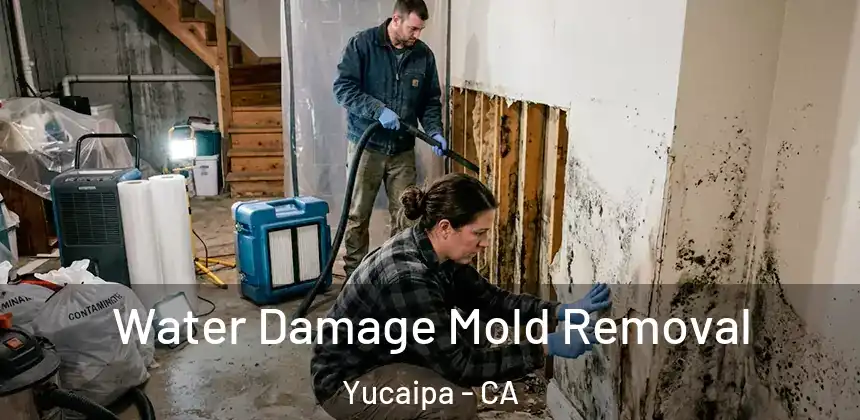  Water Damage Mold Removal Yucaipa - CA